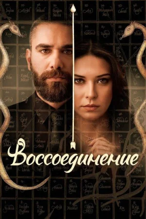 Воссоединение 1-2 сезон